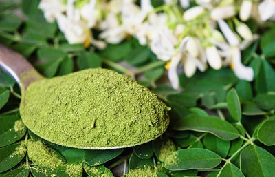 " Moringa Powder: Unveiling the Green Superfood Tree with Countless Benefits"