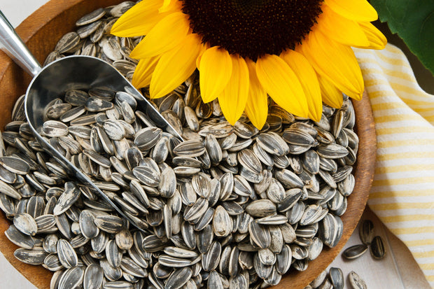 SUNFLOWER SEEDS - Super Healthy Food